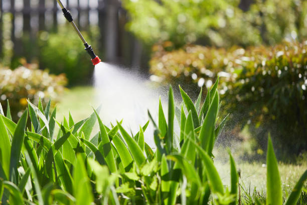 24/7 Emergency Mosquito Control experts in Brunswick, OH