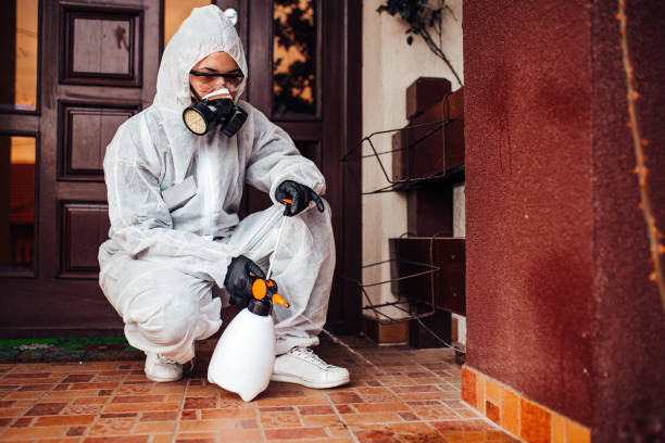 Reliable Mosquito Control contractor in Brunswick, OH by Show Me Pest Control