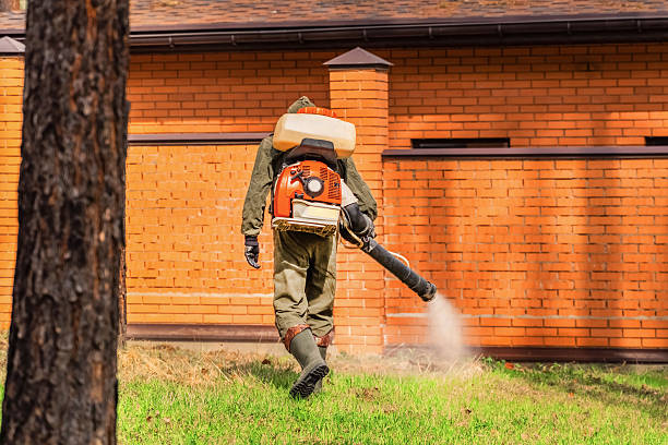 Top rated local Mosquito Control specialists in Brunswick, OH